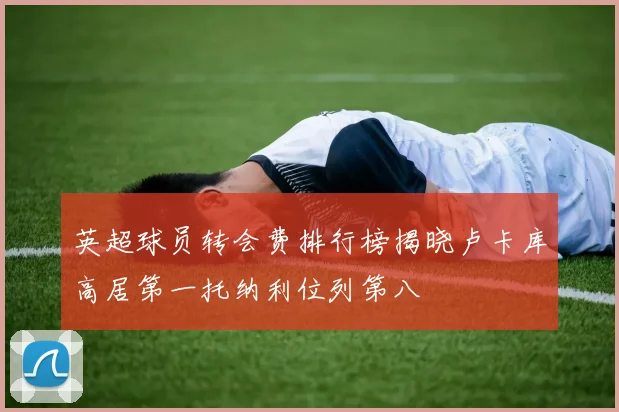 英超球员转会费排行榜揭晓卢卡库高居第一托纳利位列第八