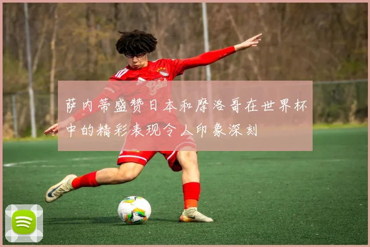 萨内蒂盛赞日本和摩洛哥在世界杯中的精彩表现令人印象深刻