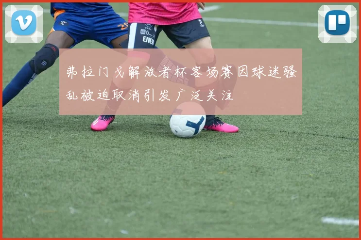 弗拉门戈解放者杯客场赛因球迷骚乱被迫取消引发广泛关注