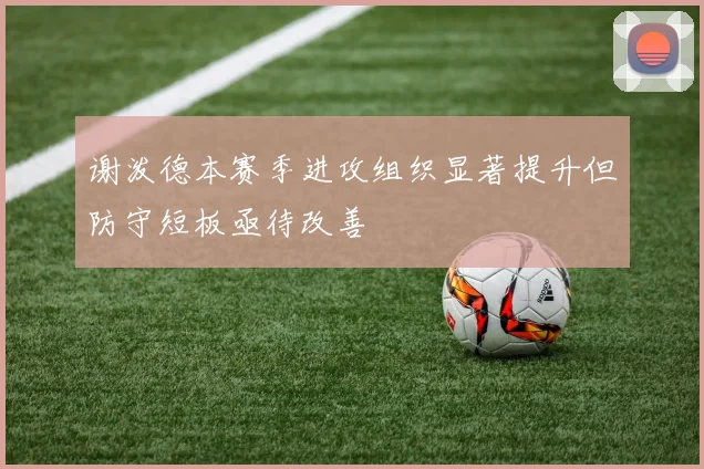 谢泼德本赛季进攻组织显著提升但防守短板亟待改善